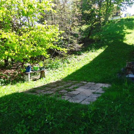 Appartement La Clusaz, 3 pièces, 6 personnes - FR-1-459-51 Extérieur photo